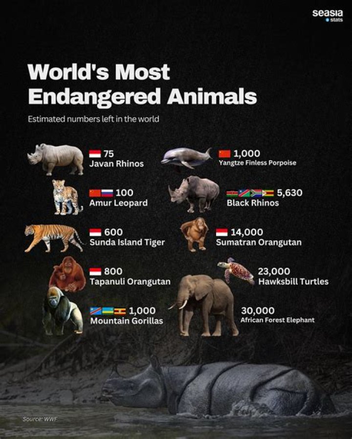 What is the most endangered species of frogs?