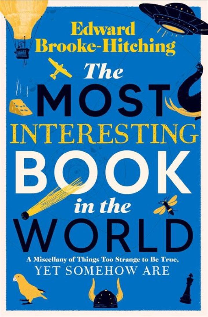 What is the most interesting job in the world?