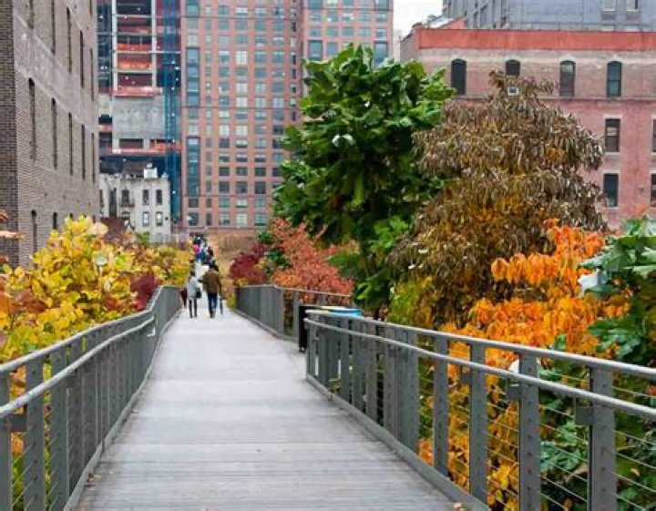 What is the most popular part of New York?
