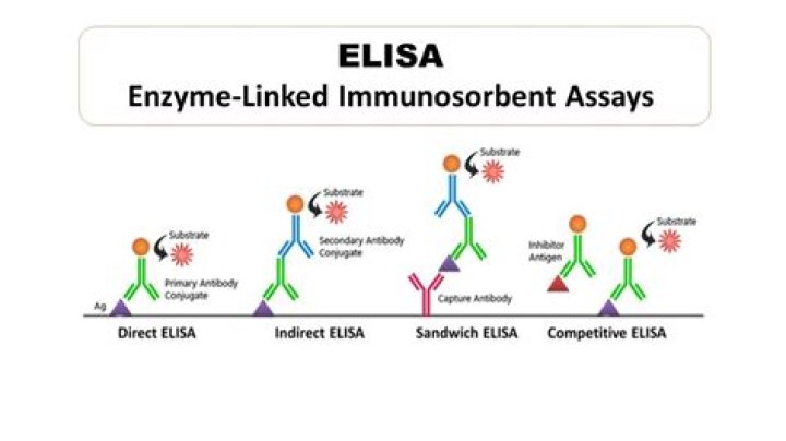 What is the most sensitive immunoassay?