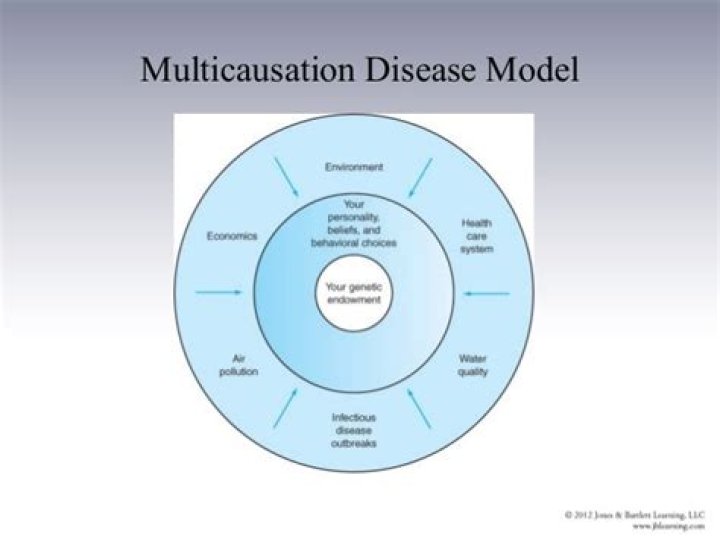 What is the Multicausation disease model?