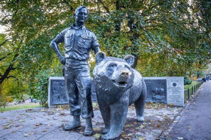 What is the name Wojtek in English?