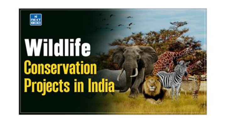 What is the need of wildlife conservation in India?