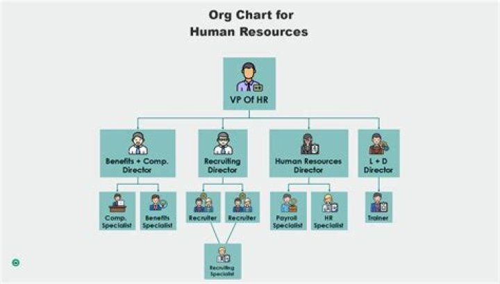 What is the new word for human resources?