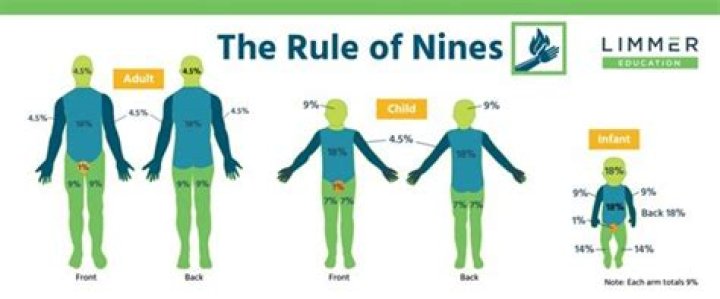 What is the nine rule in math?