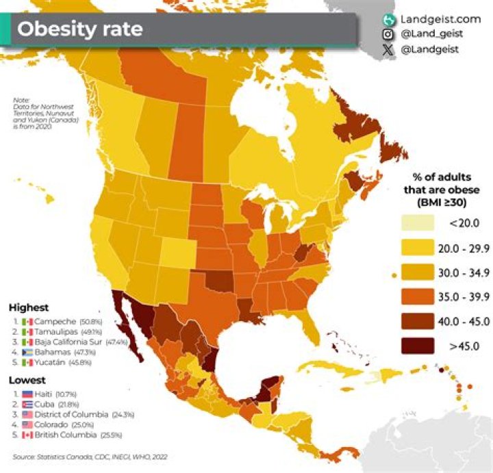 What is the obesity rate in America 2015?