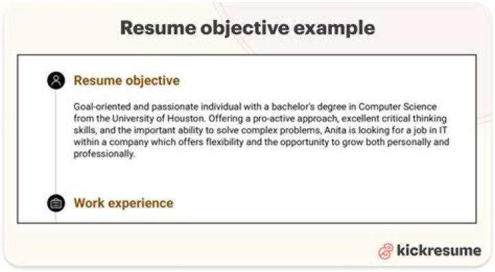 What is the objective in a resume for BPO?