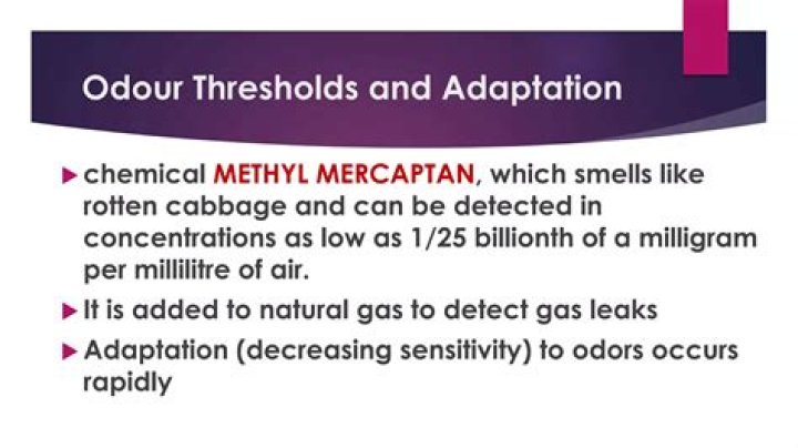 What is the odor threshold for methyl mercaptan?