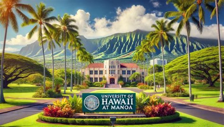 What is the official Hawaii travel website?