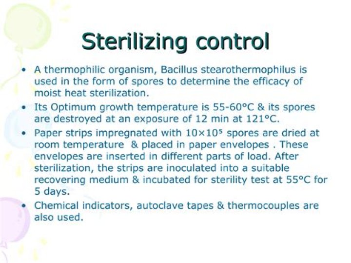 What is the optimum temperature for Bacillus stearothermophilus?