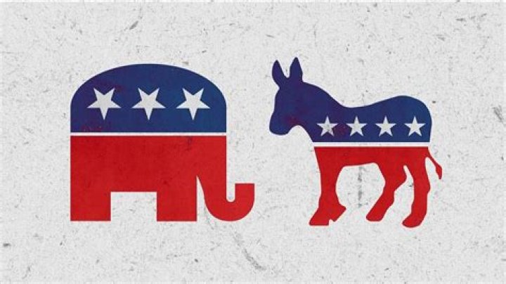 What is the party organization quizlet?