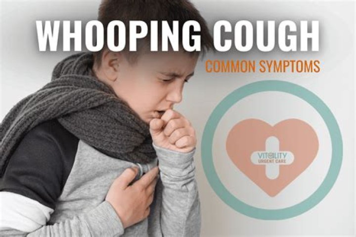 What is the pathophysiology of whooping cough?