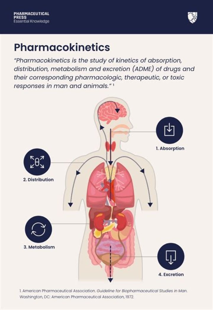 What is the pharmacokinetics of phenytoin?