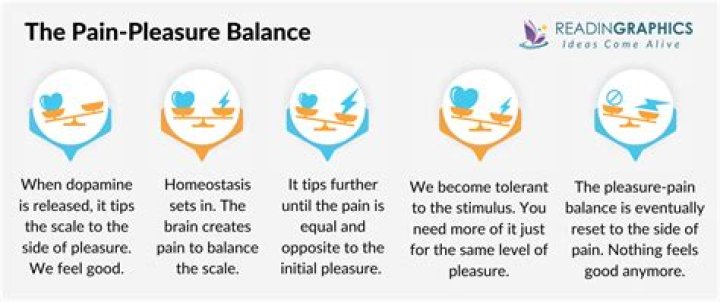 What is the pleasure pain principle?