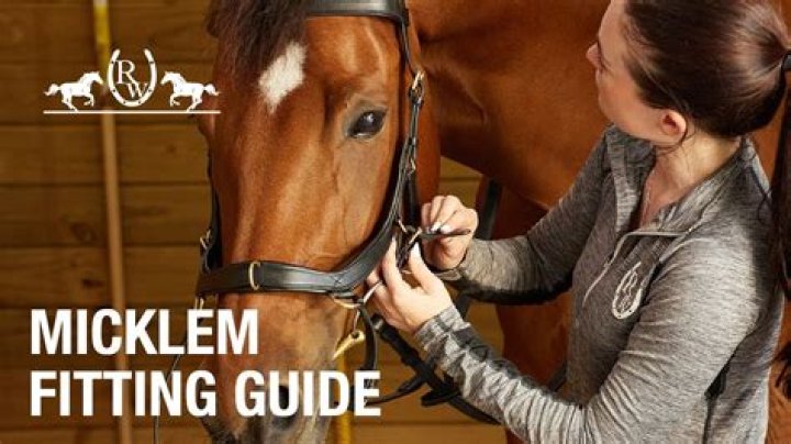What is the point of a micklem bridle?