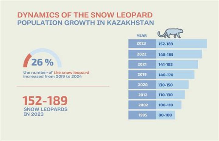 What is the population of a snow leopard?