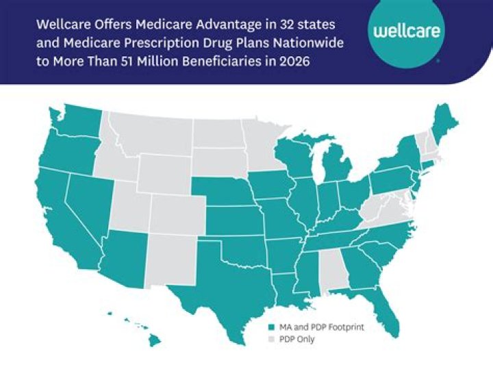 What is the preferred pharmacy for WellCare Part D?