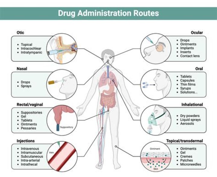 What is the preferred route of administration of medications in reptiles?
