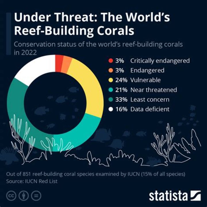 What is the problem happening to the coral reef?