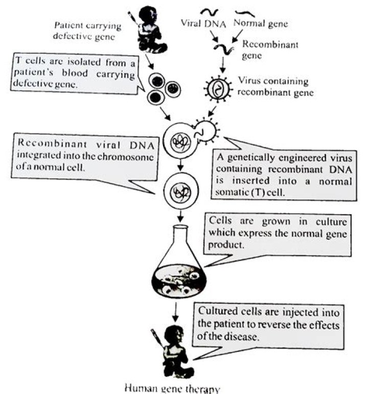 What is the procedure for trial of a juvenile?