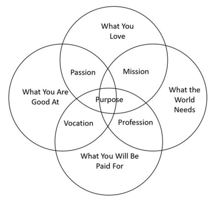 What is the purpose of attitudes?