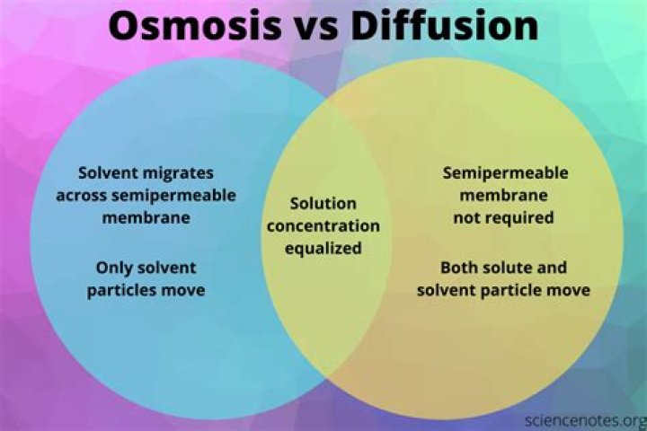 What is the purpose of comparing MRI perfusion and diffusion?