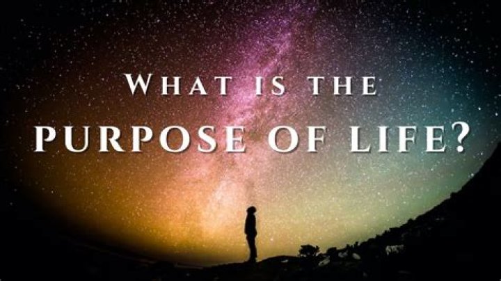 What is the purpose of the TetR gene?