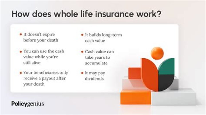 What is the purpose of whole life insurance?