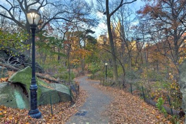 What is The Ramble in Central Park known for?