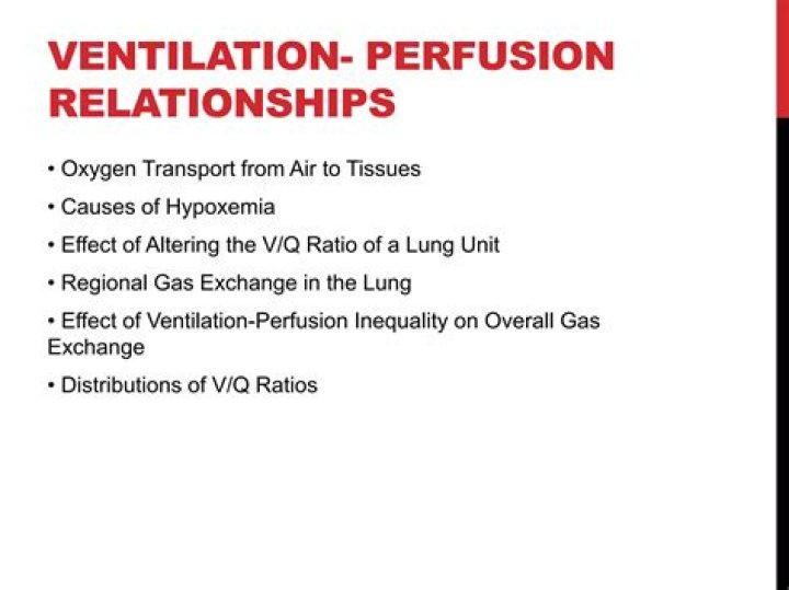 What is the relationship between ventilation and perfusion?