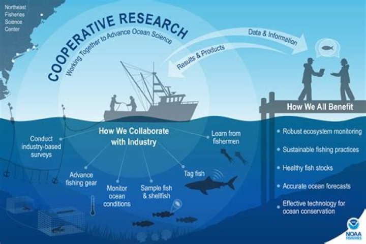 What is the relationship like between scientists and fishermen?