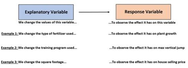 What is the response variable?