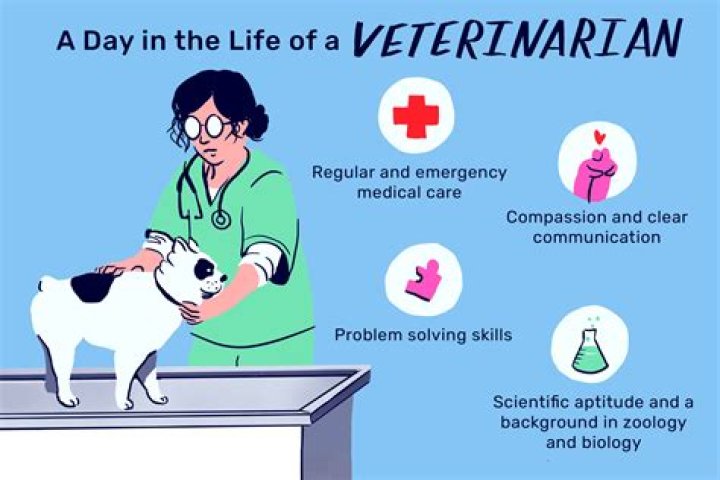 What is the responsibility of the veterinarian?
