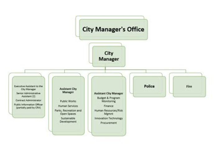 What is the role of a city manager?