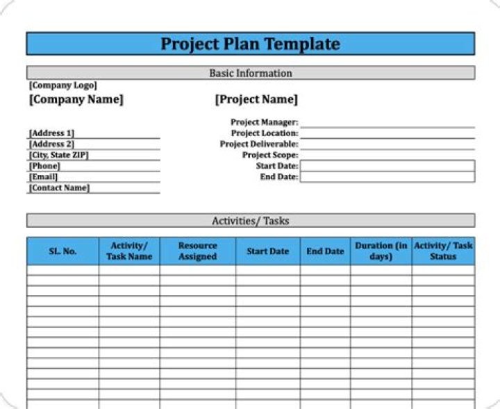 What is the role of a project planner?