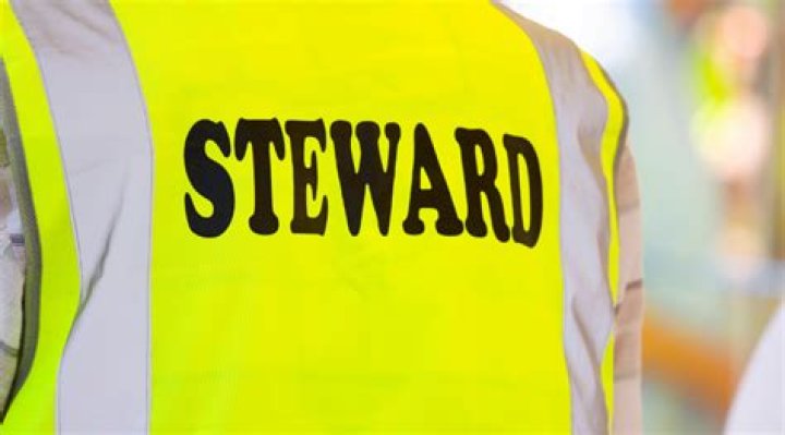 What is the role of a steward at an event?
