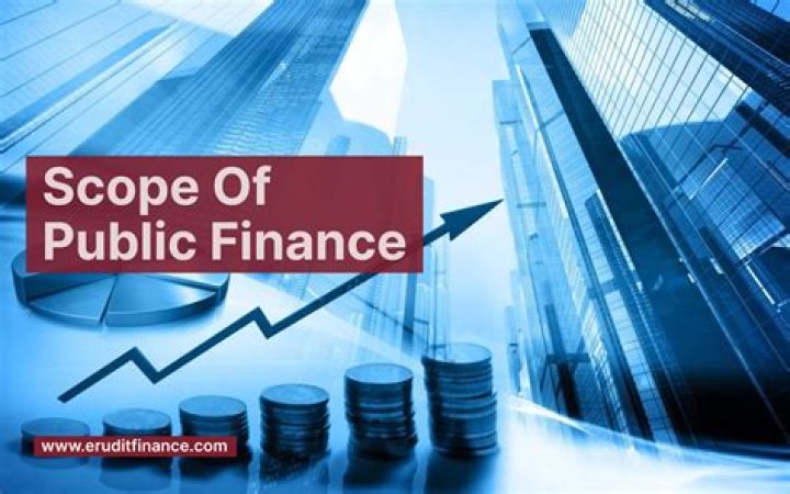 What is the scope of public finance?