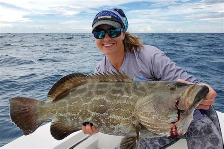 What is the season for grouper in Florida?