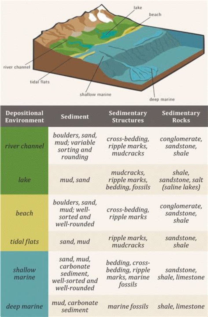 What is the sedimentary environment of sandstone?