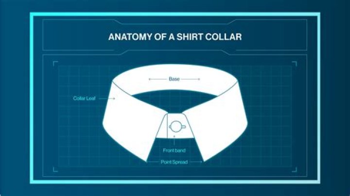 What is the short collar called?