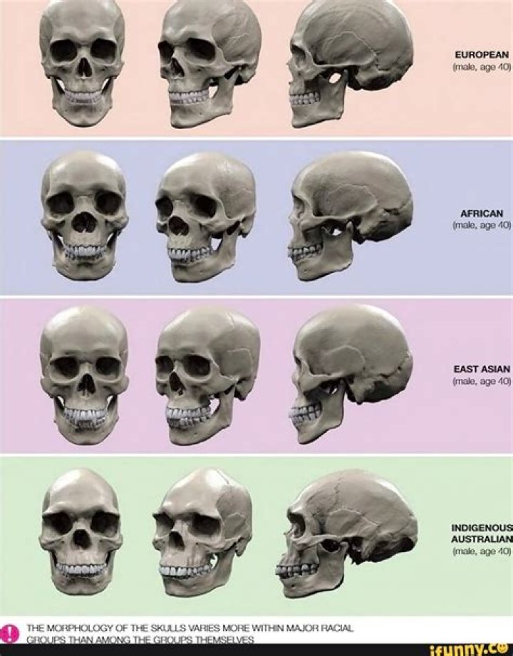 What is the skulls name in Hamlet?