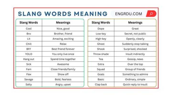 What is the slang meaning of bro?