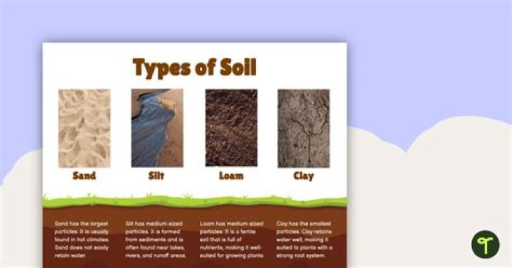 What is the soil like in the Boreal Plains?