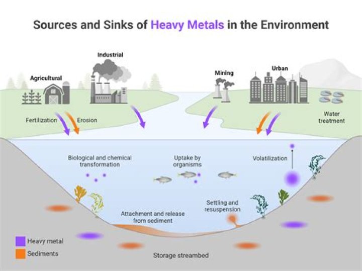 What is the source to sink theory?