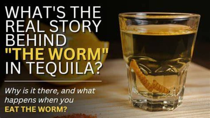 What is the story behind the worm in tequila?