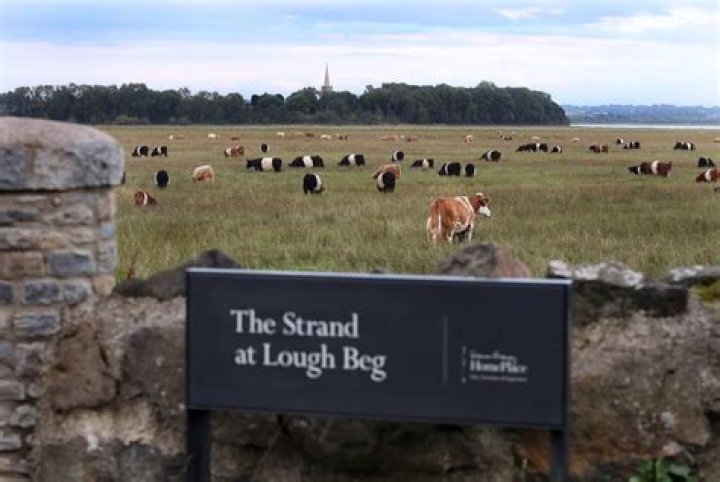 What is the Strand at Lough Beg about?