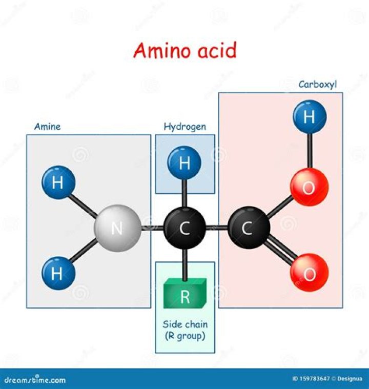 What is the structure of a generic amino acid?