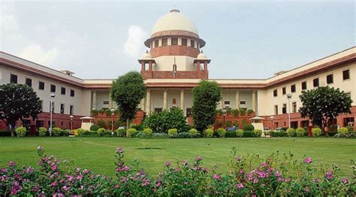 What is the Supreme Court collegium?