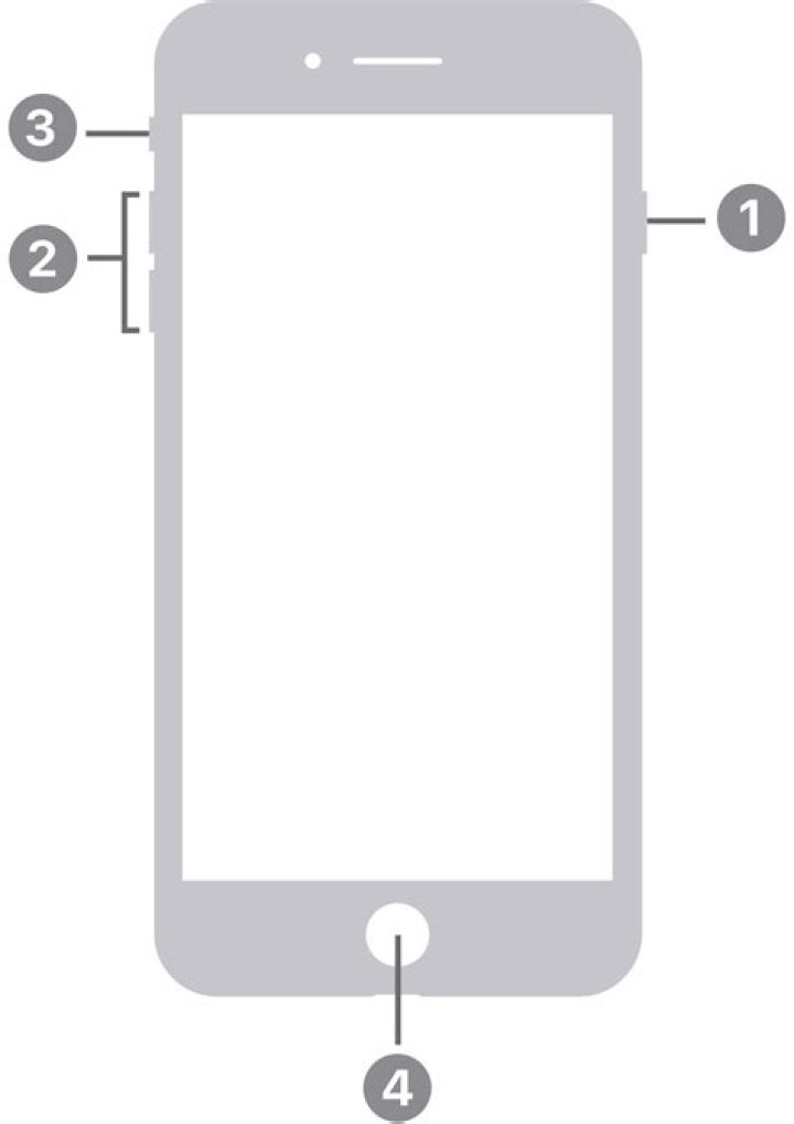 What is the switch on the left side of the iPhone?