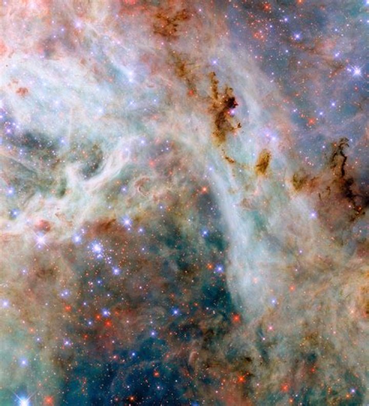 What is the Tarantula Nebula made of?